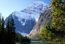 北单足球官网首页能提供哪些服务？如何高效使用其功能？